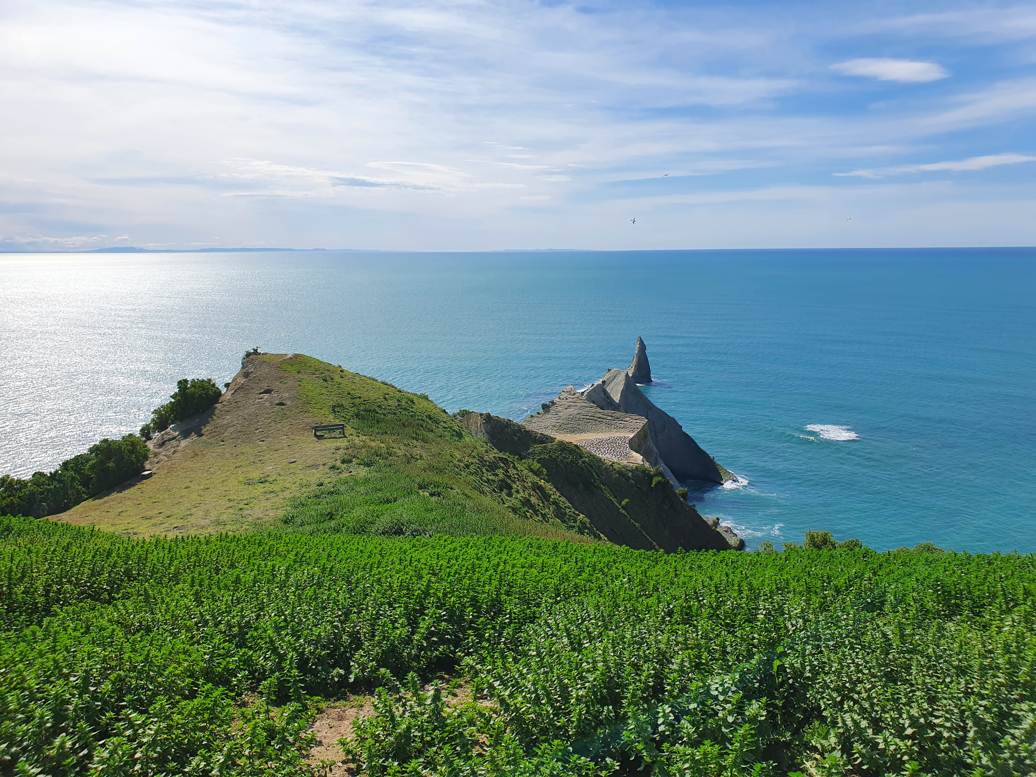 Cape Kidnappers Golf Course — Cape Kidnappers, New Zealand — Tom Doak