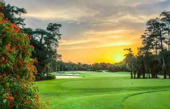 Pineapple Valley Course